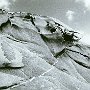 Paros 29-12-1998 - Kolimbitres - Silvergelatine Print